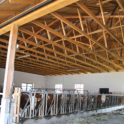 Hallenbau und Stallbau - Zimmerei König Babensham